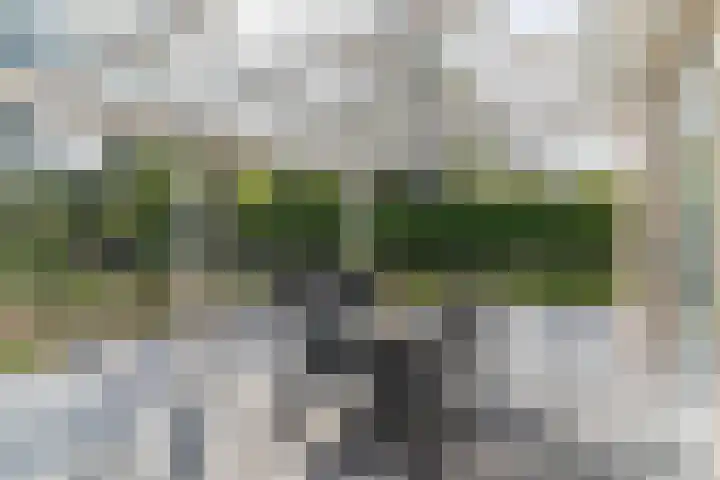 Schapendreef 15 Hoogerheide thumbnail 38