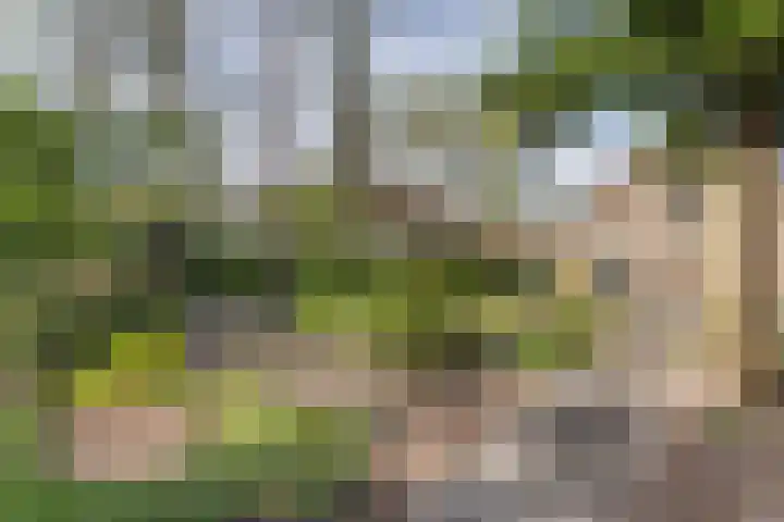 Schapendreef 15 Hoogerheide thumbnail 41