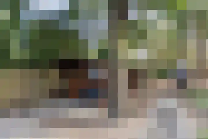 Schapendreef 15 Hoogerheide thumbnail 42