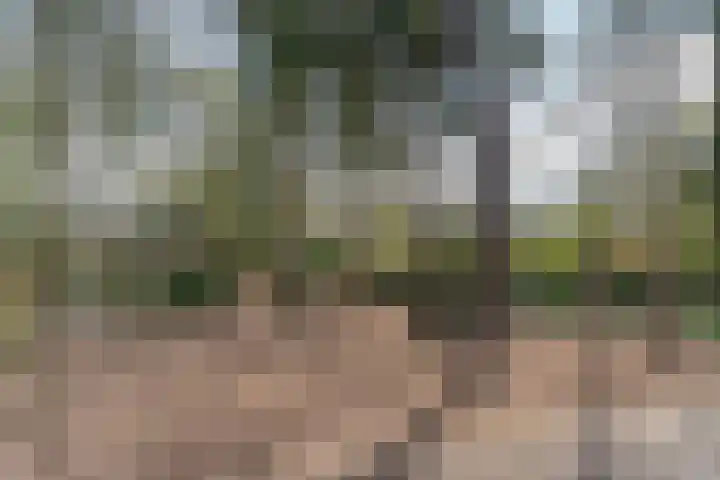 Schapendreef 15 Hoogerheide thumbnail 43