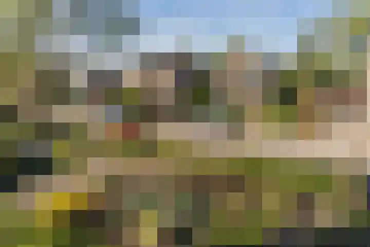 Schapendreef 15 Hoogerheide thumbnail 48
