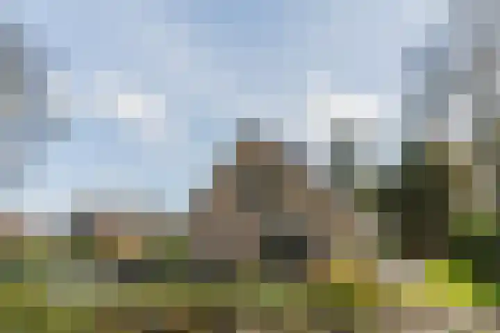 Schapendreef 15 Hoogerheide thumbnail 56