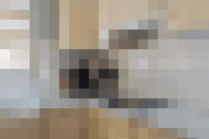 Schapendreef 23 Landhorst thumbnail 15