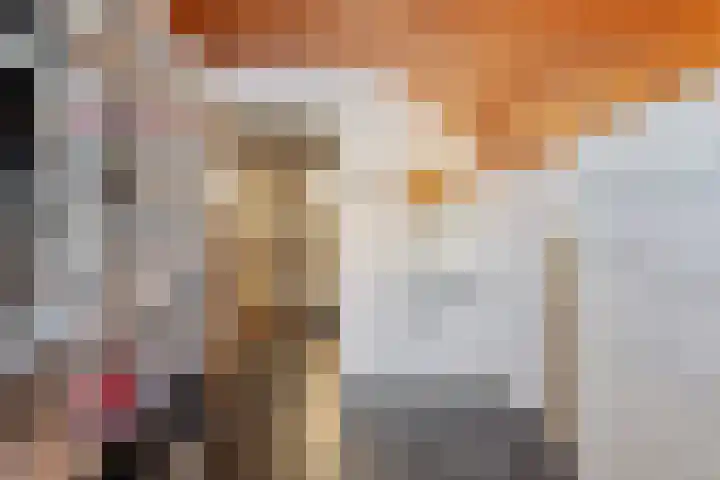 Schapendreef 23 Landhorst thumbnail 32