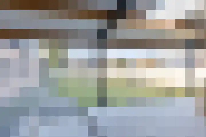 Schapendreef 23 Landhorst thumbnail 36