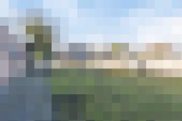 Schapendreef 23 Landhorst thumbnail 37