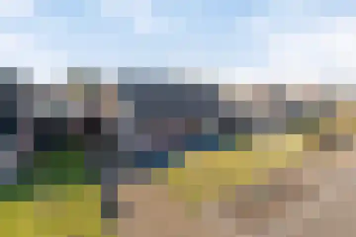 Schapendreef 23 Landhorst thumbnail 49
