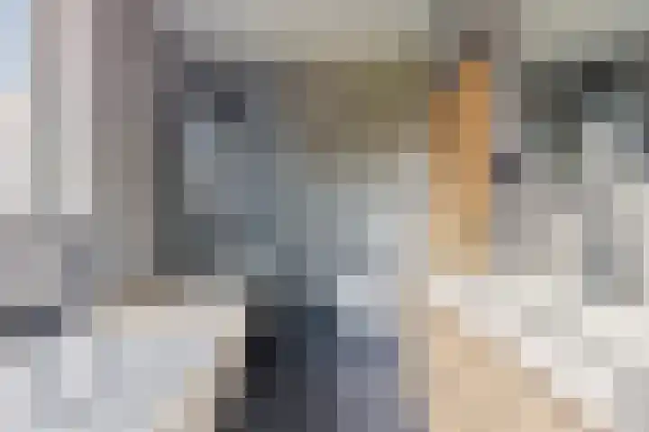 Schapendreef 23 Landhorst thumbnail 5