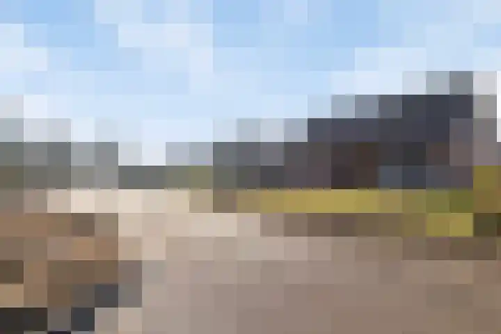 Schapendreef 23 Landhorst thumbnail 52