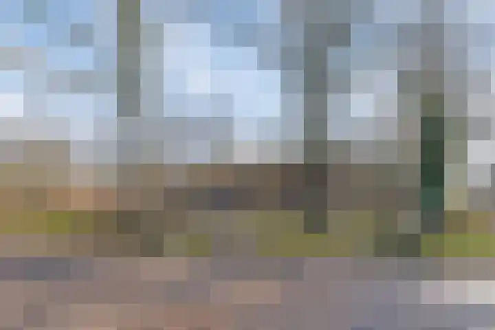 Schapendreef 23 Landhorst thumbnail 53