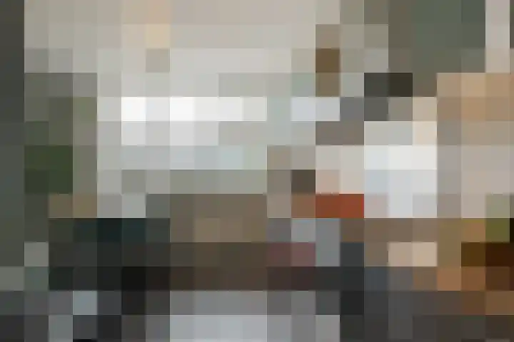Schapendreef 247 Rotterdam thumbnail 10
