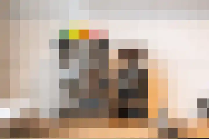 Schapendreef 247 Rotterdam thumbnail 11