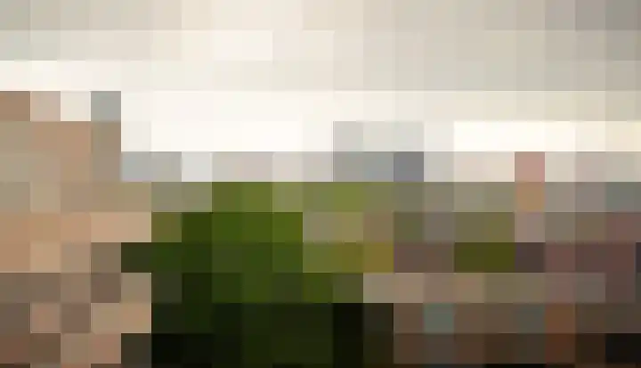 Schapendreef 247 Rotterdam thumbnail 15
