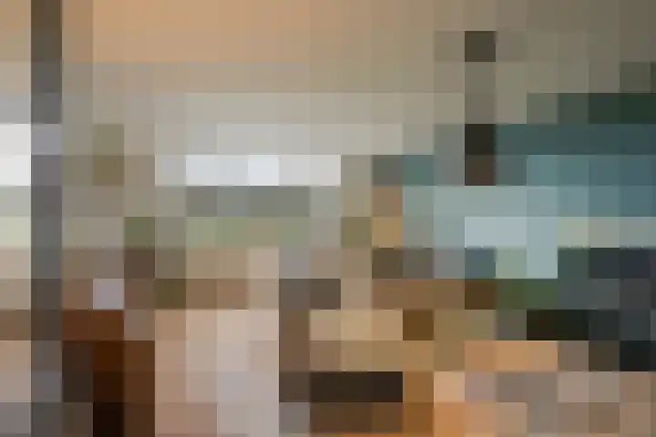 Schapendreef 247 Rotterdam thumbnail 16