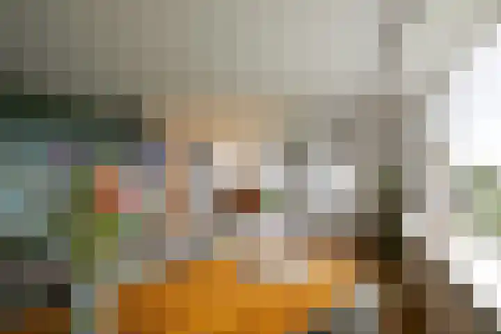 Schapendreef 247 Rotterdam thumbnail 18