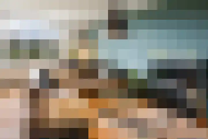 Schapendreef 247 Rotterdam thumbnail 19