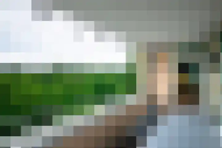 Schapendreef 247 Rotterdam thumbnail 20