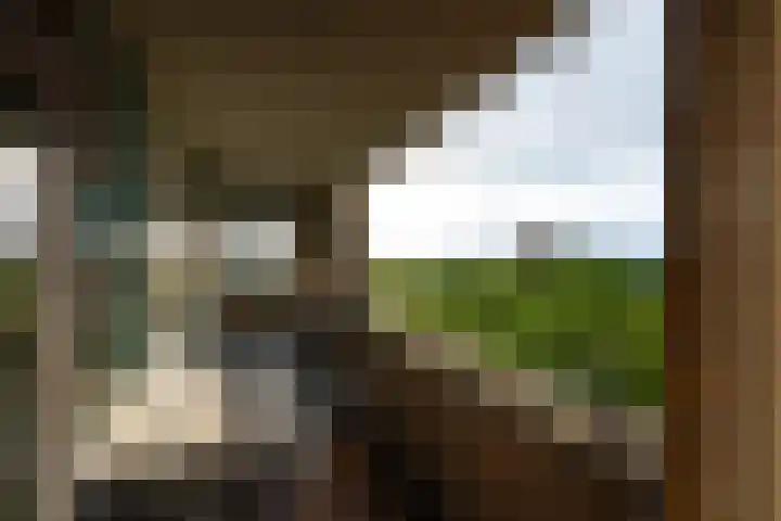 Schapendreef 247 Rotterdam thumbnail 21