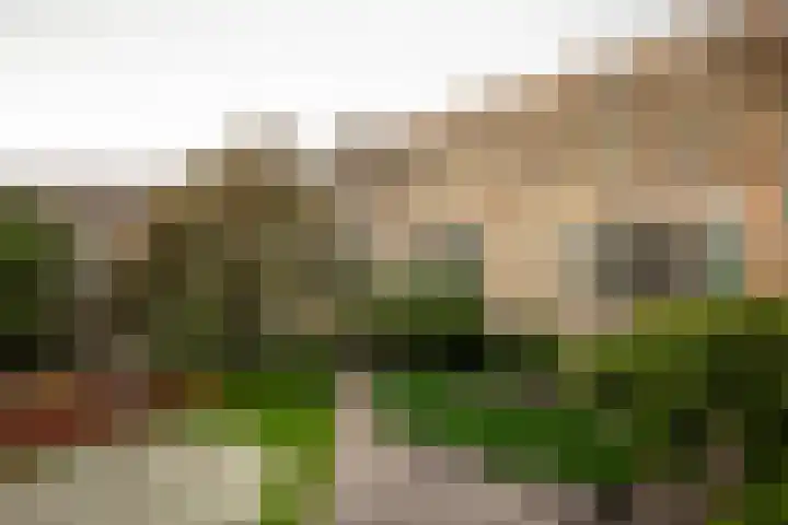 Schapendreef 247 Rotterdam thumbnail 29