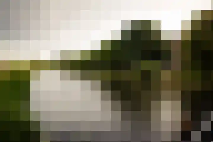 Schapendreef 247 Rotterdam thumbnail 30