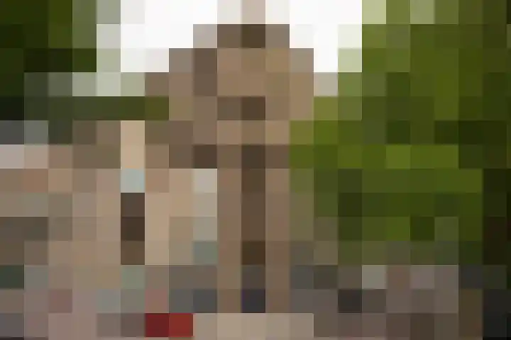 Schapendreef 247 Rotterdam thumbnail 31