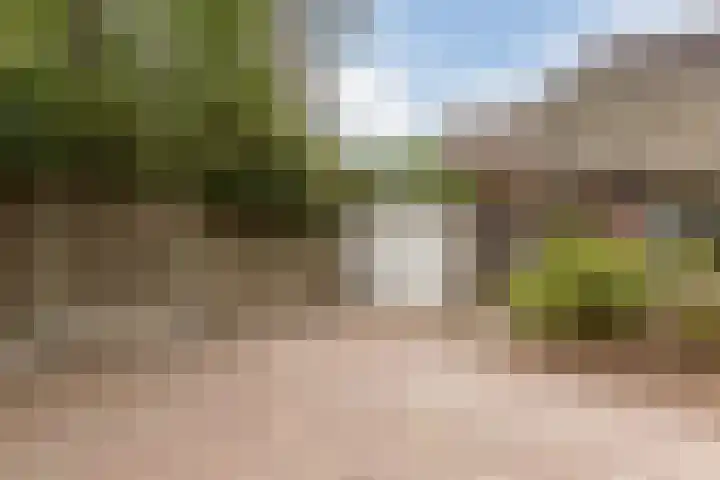 Schapendreef 5 Hoogerheide thumbnail 34