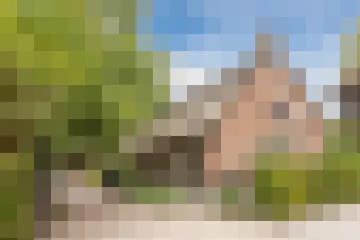 Schapendreef 5 Hoogerheide thumbnail 40