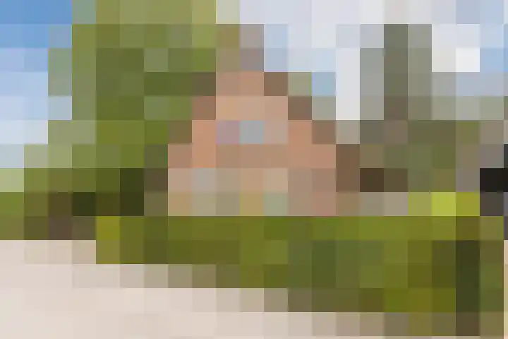 Schapendreef 5 Hoogerheide thumbnail 41