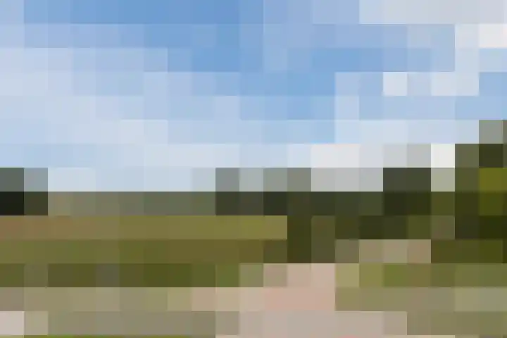 Schapendreef 5 Hoogerheide thumbnail 43