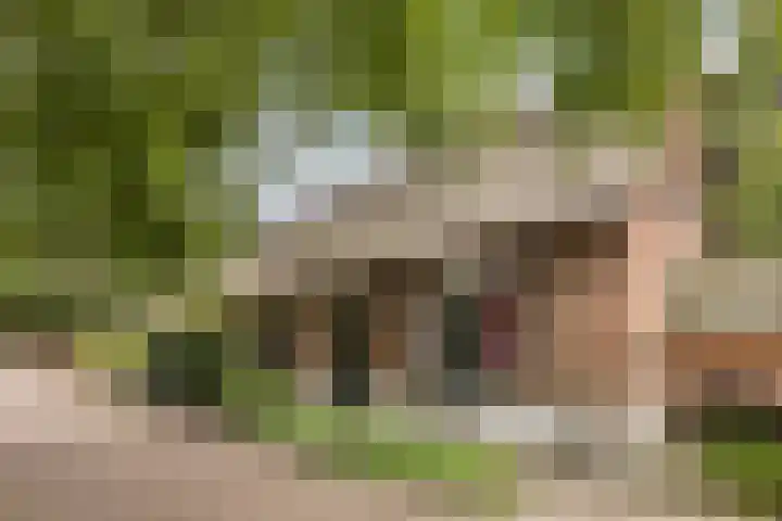 Schapendreef 5 Hoogerheide thumbnail 51