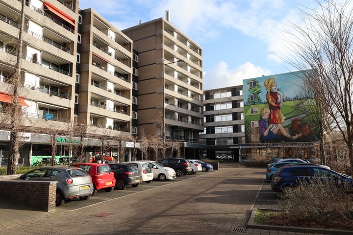 Schapendries 78 in Oosterhout foto