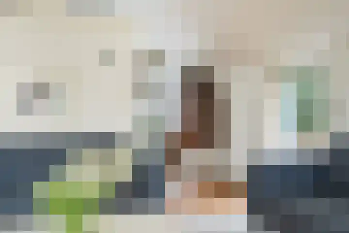 Schapendrift 131 Beilen thumbnail 11