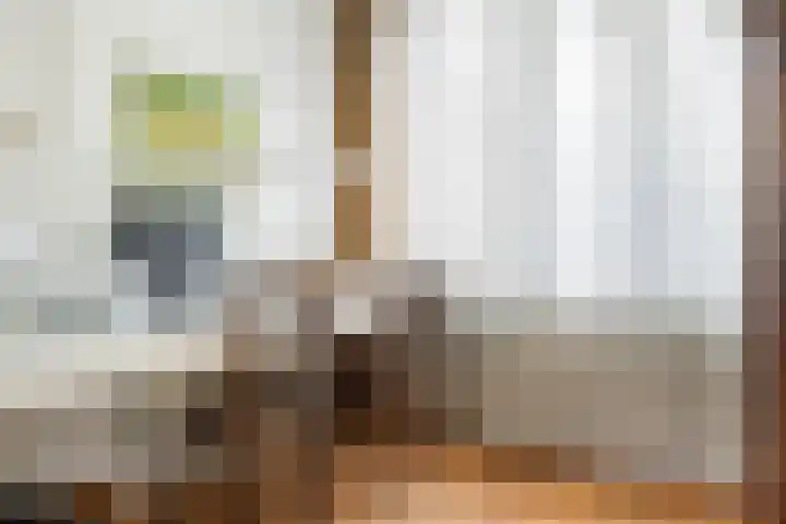 Schapendrift 131 Beilen thumbnail 12