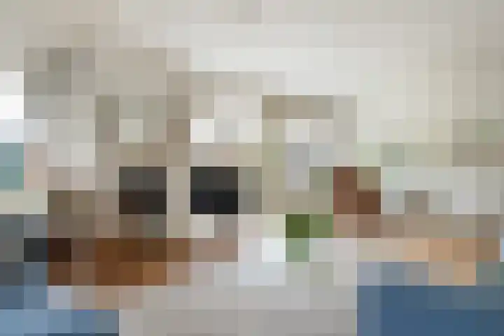 Schapendrift 131 Beilen thumbnail 14