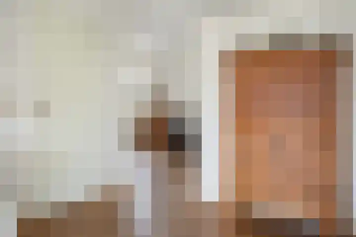 Schapendrift 131 Beilen thumbnail 16