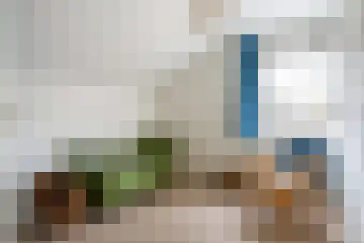 Schapendrift 131 Beilen thumbnail 27