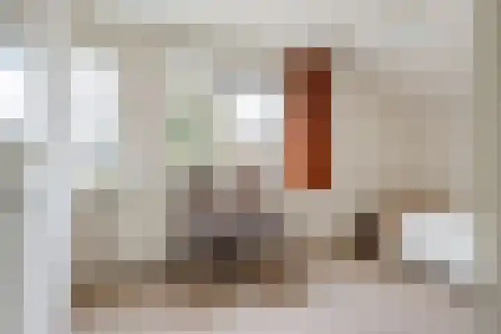 Schapendrift 131 Beilen thumbnail 28