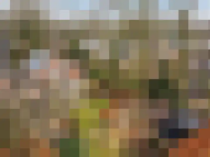 Schapendrift 131 Beilen thumbnail 39