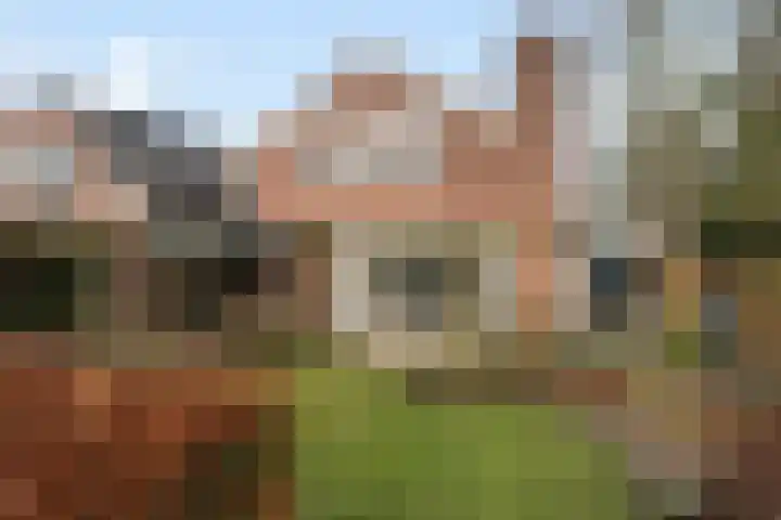 Schapendrift 131 Beilen thumbnail 40