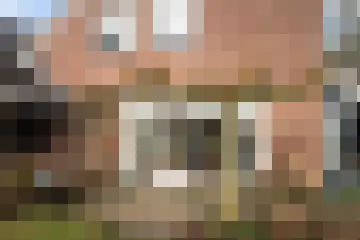 Schapendrift 131 Beilen thumbnail 41