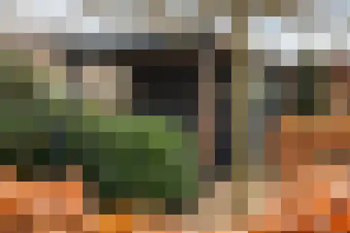 Schapendrift 131 Beilen thumbnail 44