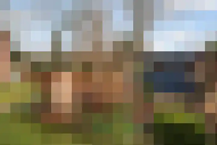 Schapendrift 131 Beilen thumbnail 46
