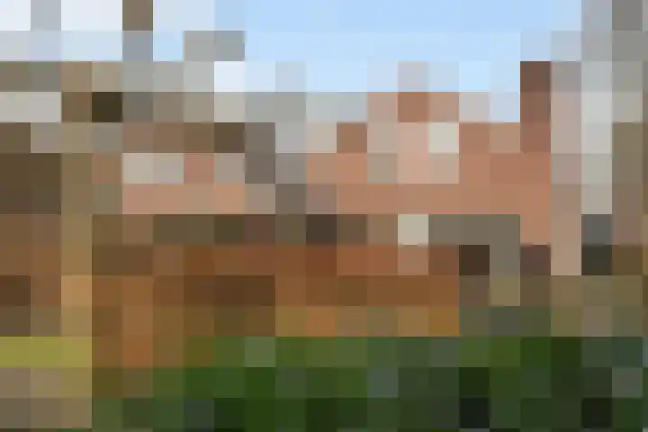 Schapendrift 131 Beilen thumbnail 49