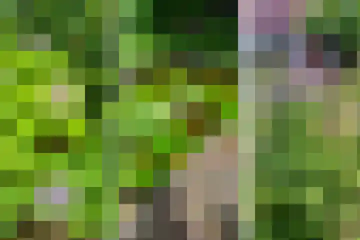 Schapendrift 131 Beilen thumbnail 55