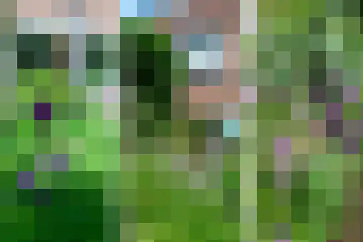 Schapendrift 131 Beilen thumbnail 57