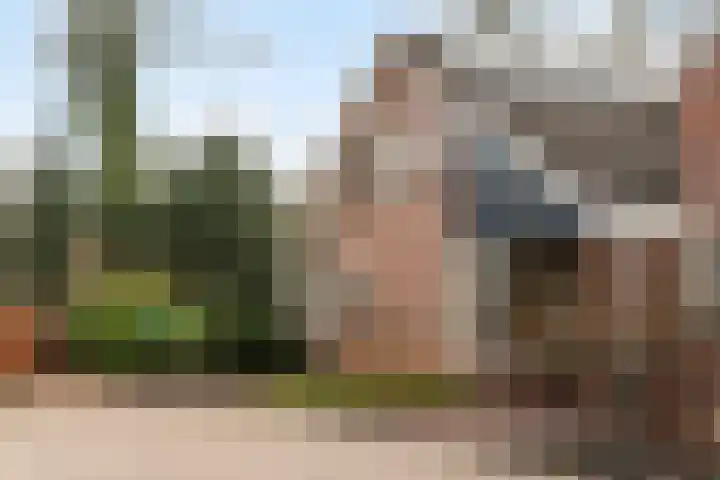Schapendrift 131 Beilen thumbnail 58