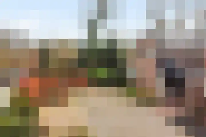 Schapendrift 131 Beilen thumbnail 59