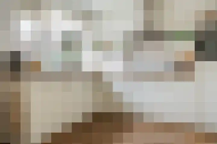 Schapendrift 131 Beilen thumbnail 6