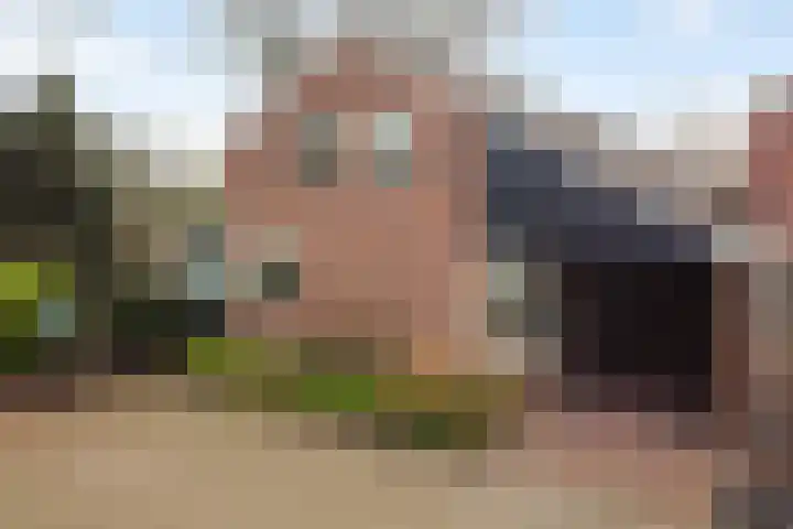 Schapendrift 131 Beilen thumbnail 60