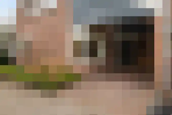 Schapendrift 131 Beilen thumbnail 63